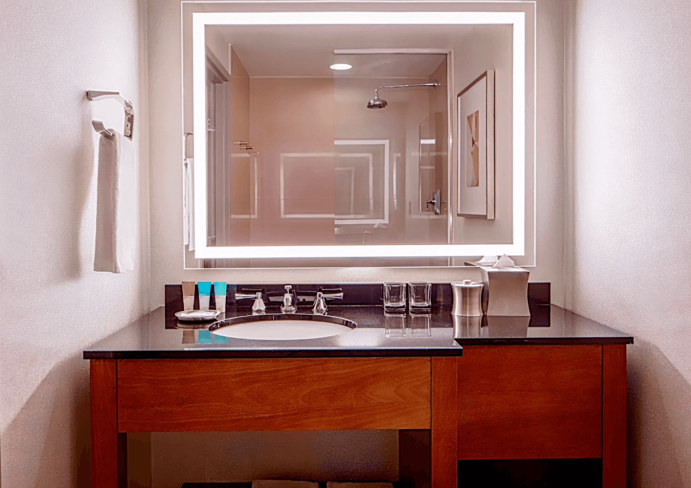 Hyatt Regency Crystal City At Reagan National Airport