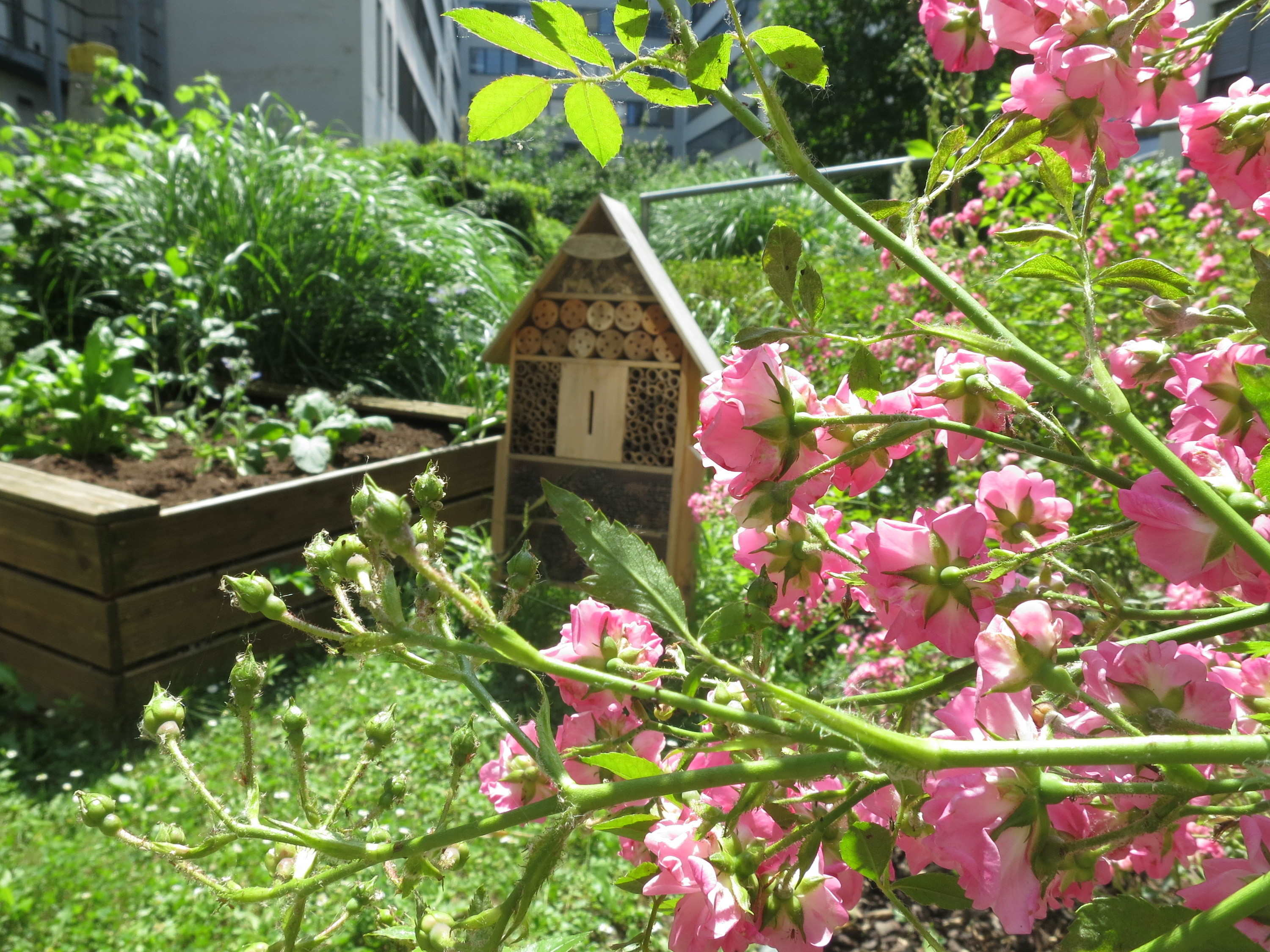 Novotel Suites Wien City Donau