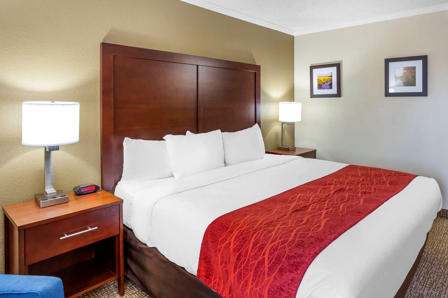 Comfort Inn & Suites Arlington Heights - Schaumburg
