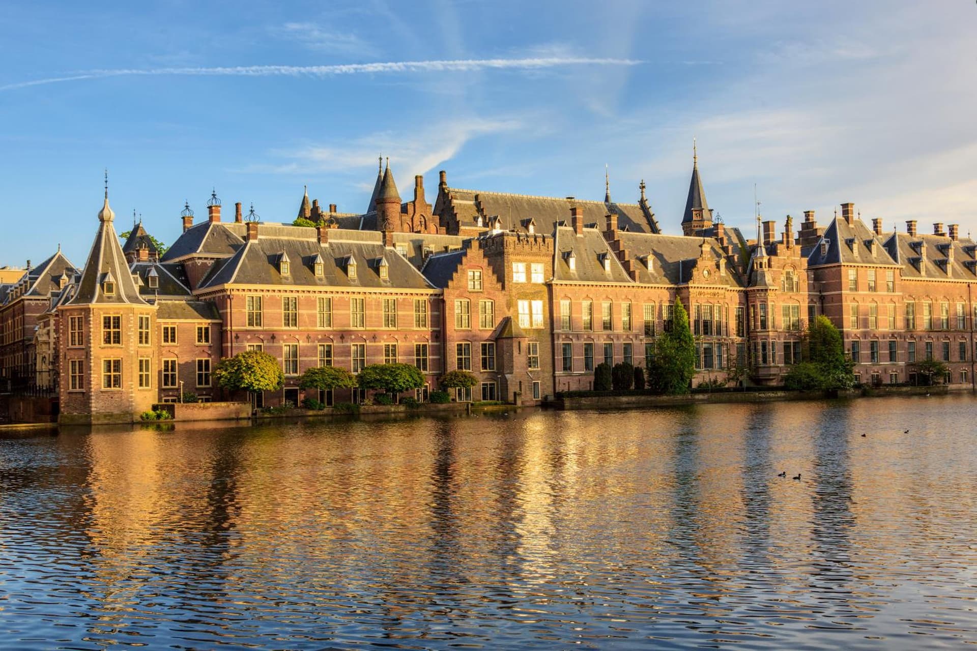 Townhouse The Hague