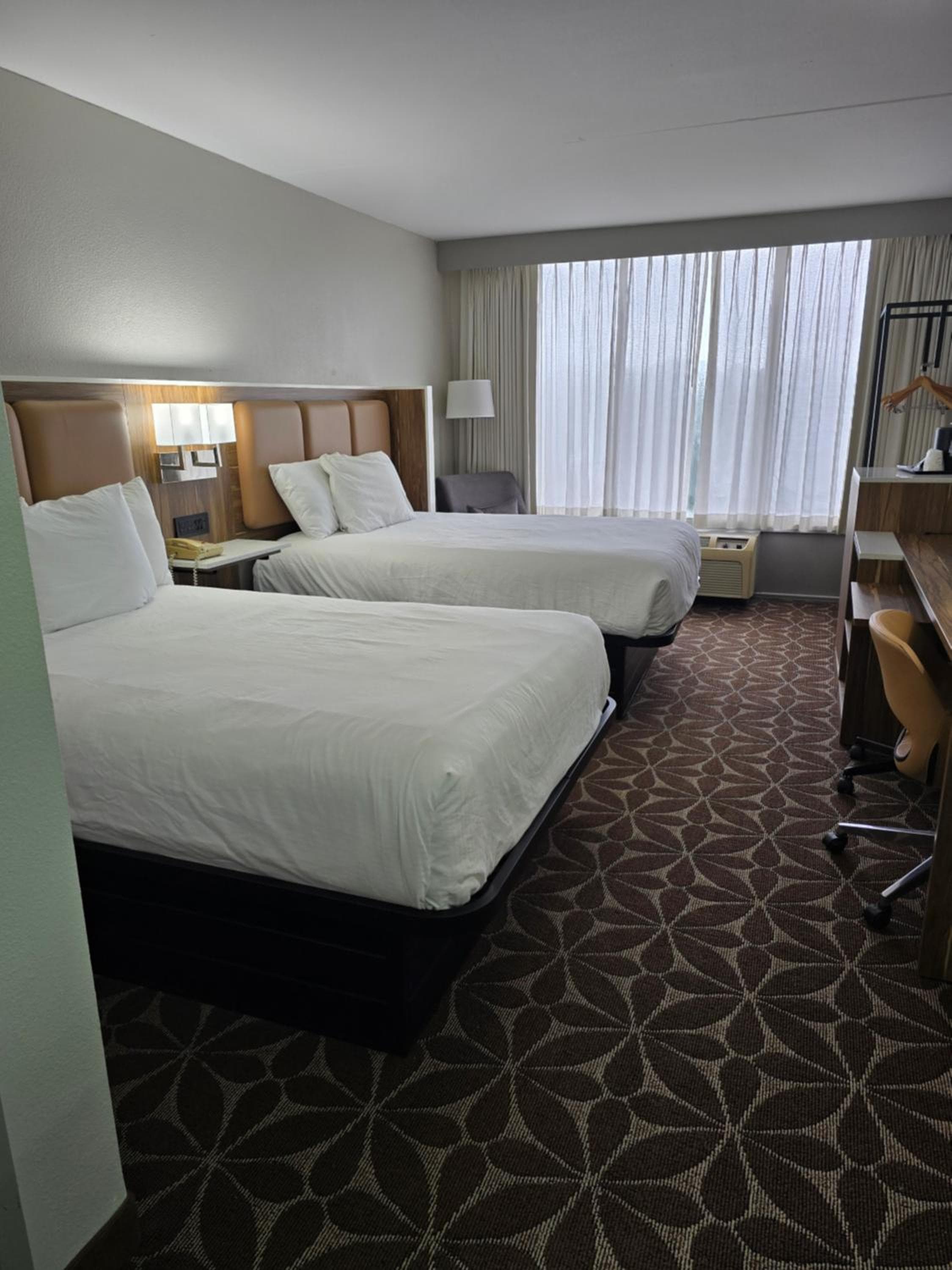 Wyndham Garden Williamsburg Busch Gardens Area