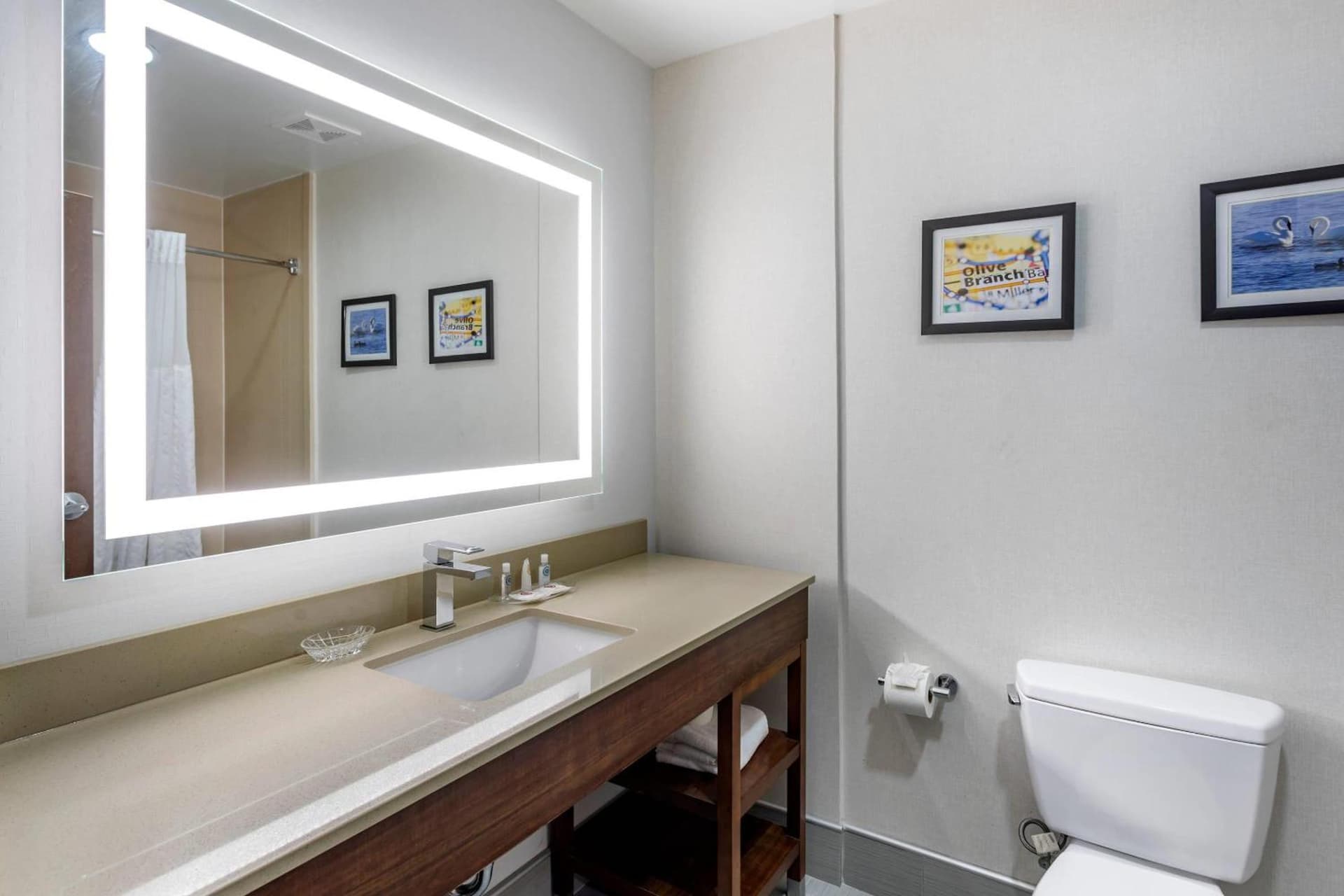 Comfort Suites Olive Branch - Memphis South