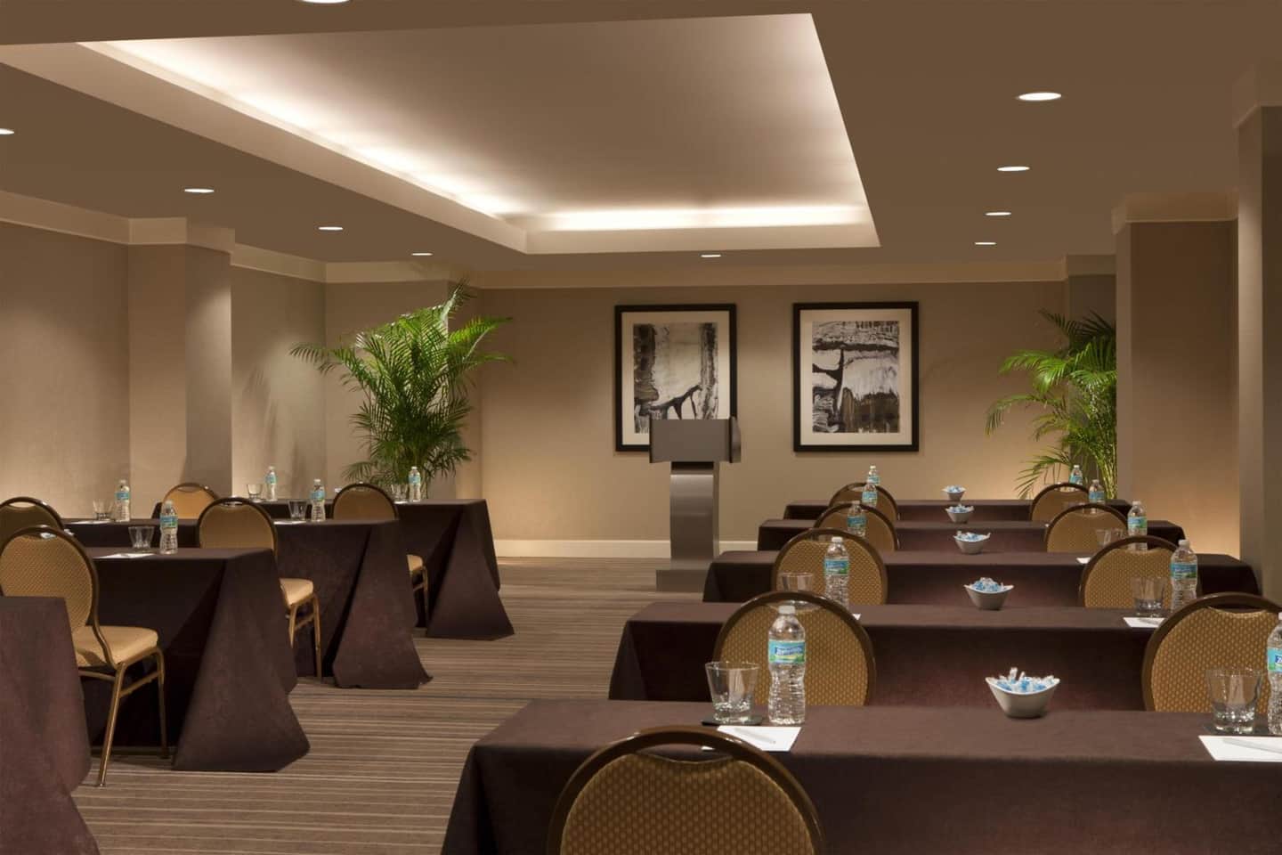 Hilton Orlando Lake Buena Vista - Disney Springs® Area
